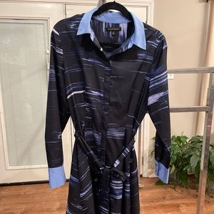 Banana Republic dress 10